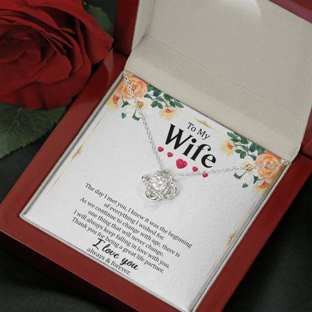 Wife - The Day I Met You